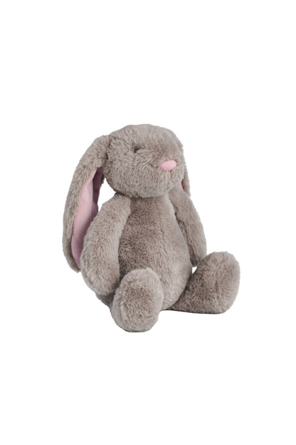 Brown plush toy rabbit on a white background