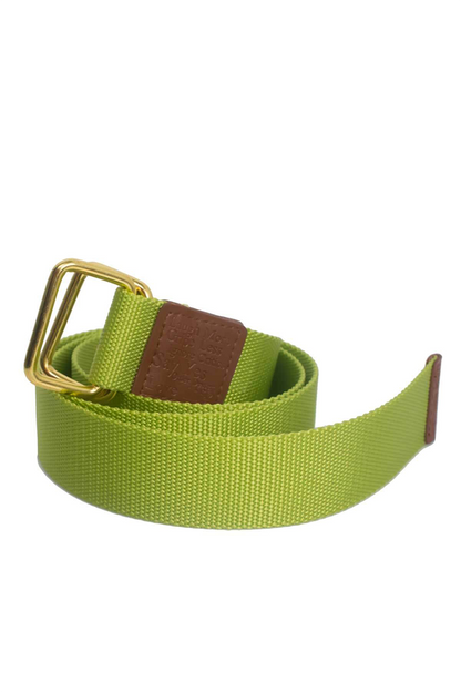 Green belt with a gold buckle on a white background