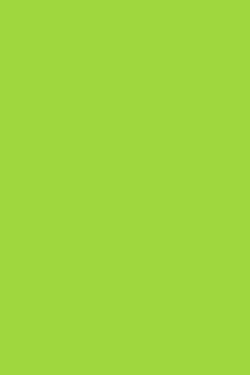 Solid green color swatch