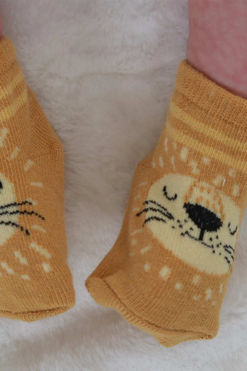 Baby socks with lion design on a white surface